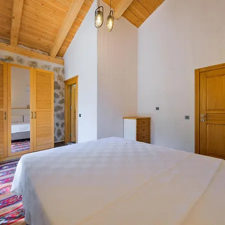 Villa Sarnic Esenkoy