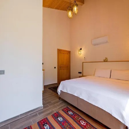 Sarnic Esenkoy Villa *
