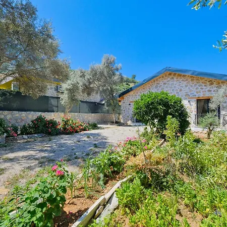 Villa Sarnic Esenkoy Fethiye